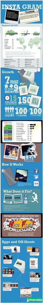 Real Estate Social Media: Instagram Infograph