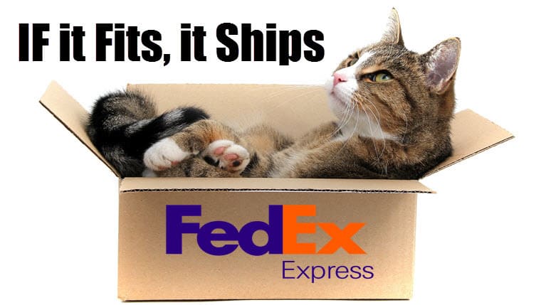 can you send a dog through fedex