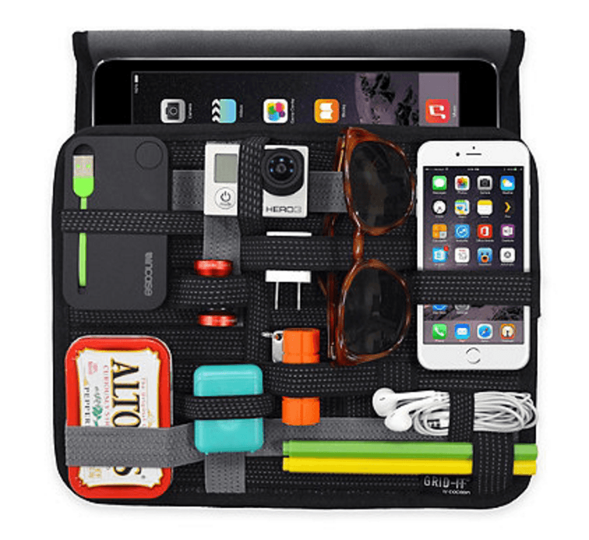 Business Gift ideas: Carrying case for our iPad