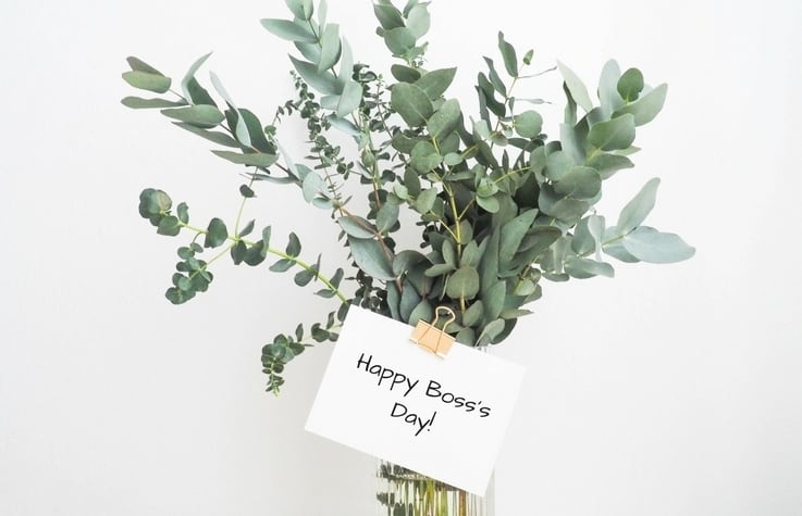 National Boss's Day 2020 Cool Gift Ideas: From Office Desk Plant