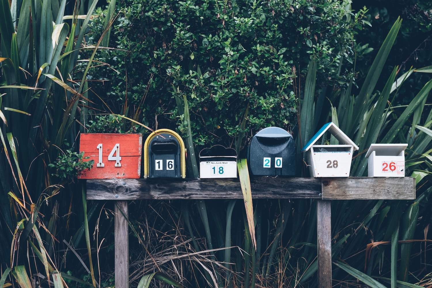 The Best Strategies to Boost Your Email Newsletter Performance